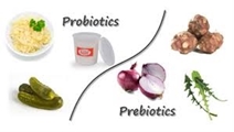 مقایسه پریبیوتیک‌ها و پروبیوتیک‌ها و خواص آنها