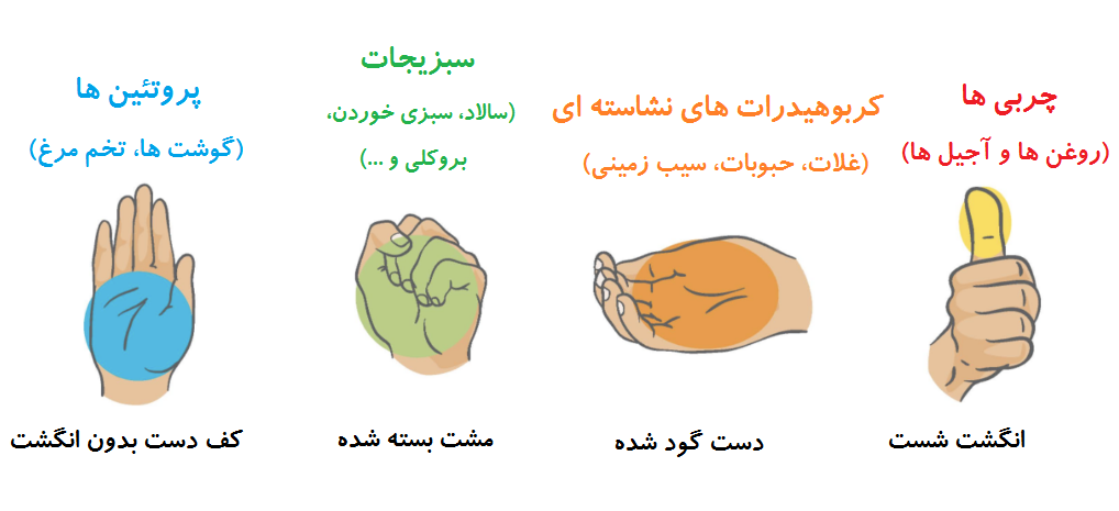 کنترل حجم غذا بدون احساس گرسنگی