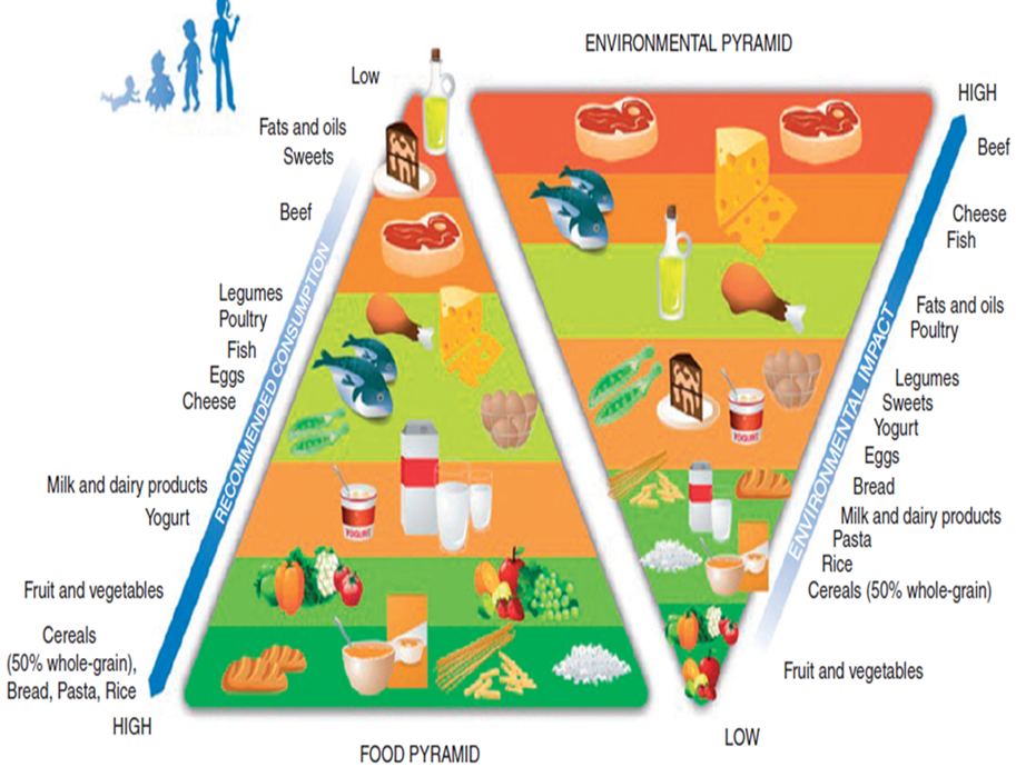 آشنایی با مفهوم رژیم غذایی پایدار&nbsp;