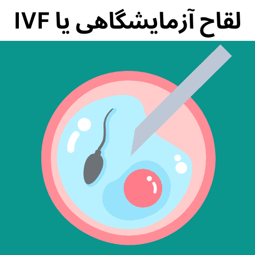 تغذیه و IVF (لقاح آزمایشگاهی) بخش اول: