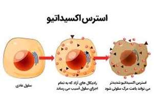 بیماری­های عصبی مرتبط با استرس اکسیداتیو