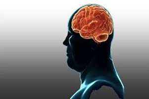 تأثیر چاقی بر عملکرد مغز