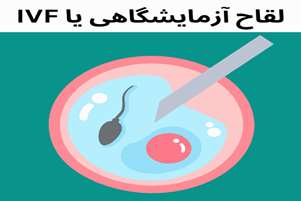 تغذیه و IVF (لقاح آزمایشگاهی) بخش اول: