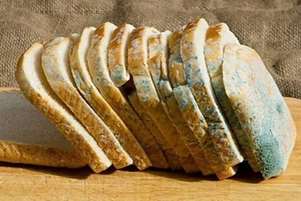 کپک نان، آنچه چشم ما نمی‌بیند: نگاهی به چالش‌های ایمنی و ماندگاری نان