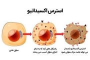 بیماری­های عصبی مرتبط با استرس اکسیداتیو