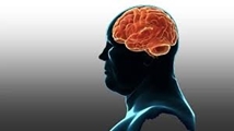 تأثیر چاقی بر عملکرد مغز