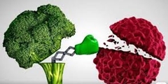 توصیه های تغذیه ای جهت درمان سرطان