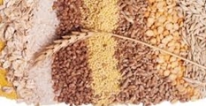 غلات کامل و بیماری­های قلبی عروقی  